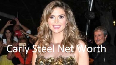 Carly Steel Net Worth