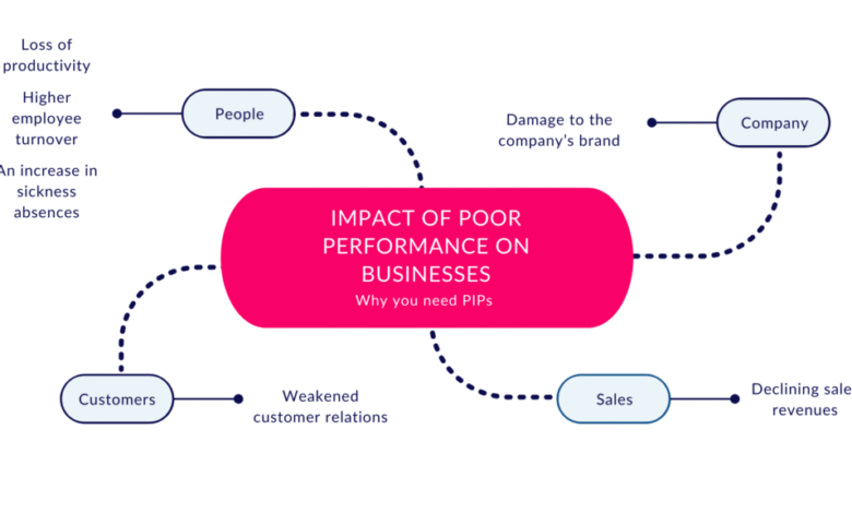 Performance Improvement Plan