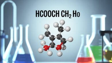 HCOOCH CH2 H2O