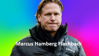 Marcus Hamberg Flashback