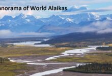 Panorama of World Alaikas