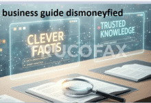 Business Guide Dismoneyfied