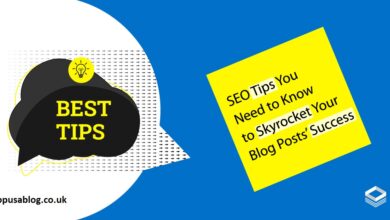 SEO Optimization Zanzibar