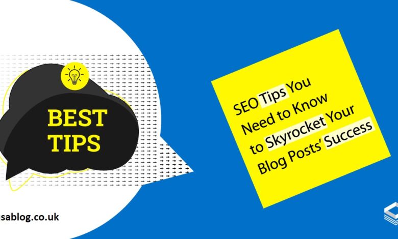 SEO Optimization Zanzibar