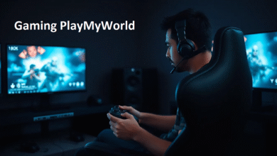 Gaming PlayMyWorld
