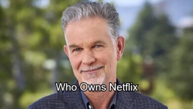 Who Owns Netflix
