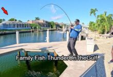 Family Fish ThunderOnTheGulf