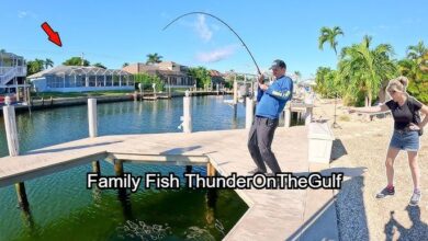 Family Fish ThunderOnTheGulf