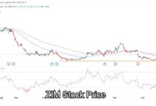 ZIM Stock Price