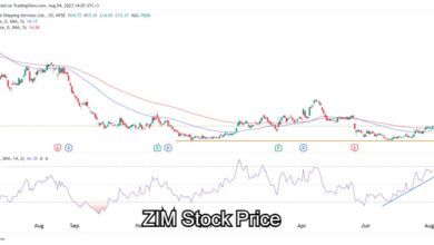 ZIM Stock Price