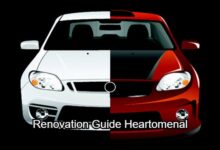 Renovation Guide Heartomenal