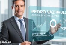 Pedrovazpaulo IT Consulting