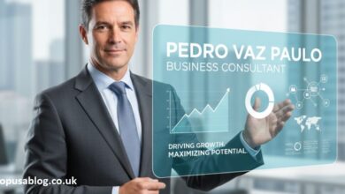 Pedrovazpaulo IT Consulting