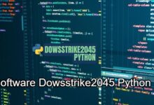 Software Dowsstrike2045 Python