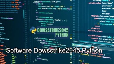 Software Dowsstrike2045 Python