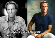 Mark Laita Net Worth