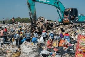 Waste Removal Waste Removal